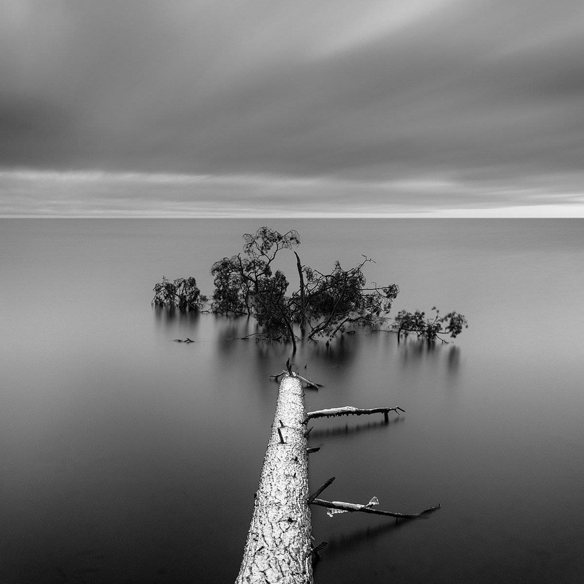 , Федотов Антон