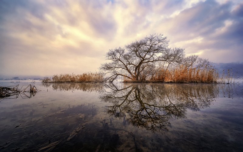 Reflection фото превью