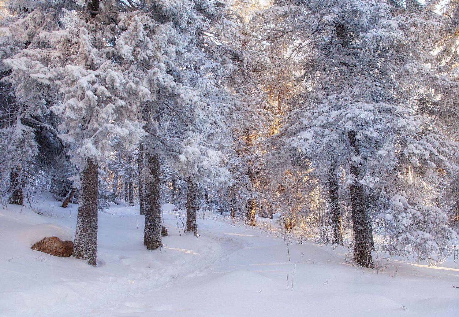 национальный парк таганай, Сергей Сотников