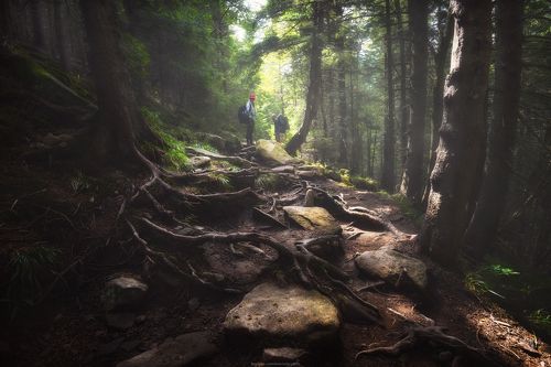 Горными тропами