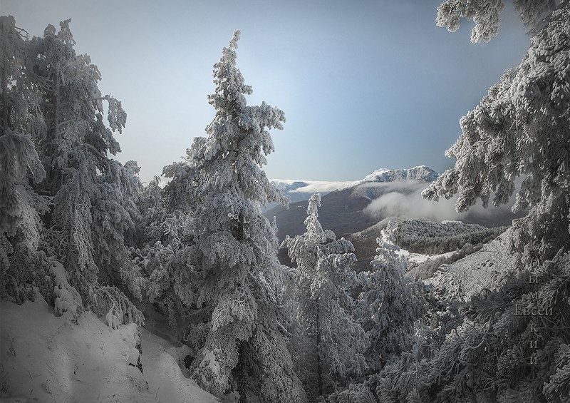 фото превью