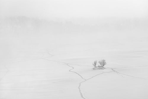 Где дорога, а где мелкая тропа...