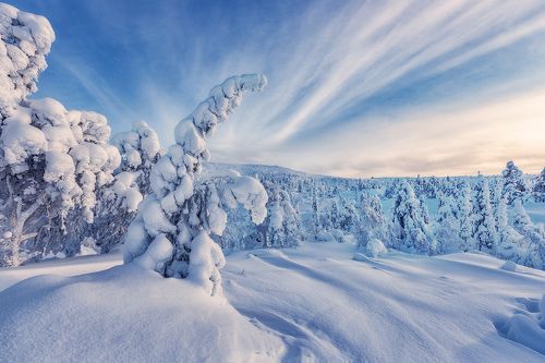 Провожая Деда Мороза