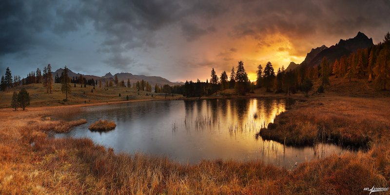 swiss,швейцария,осень,scuol Грибные дожди... фото превью