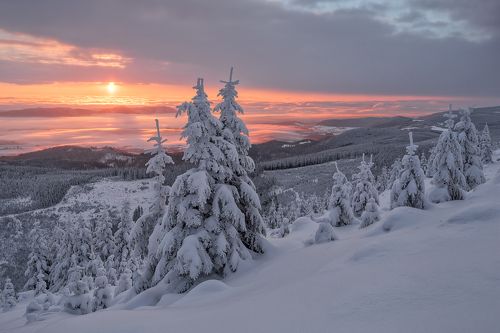 The Winter Ghosts