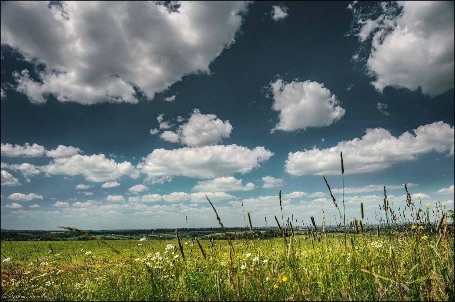 , Андрей Шумилин