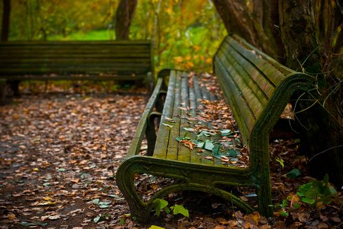 autumn