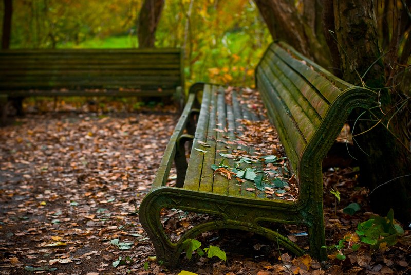 berendey autumn фото превью