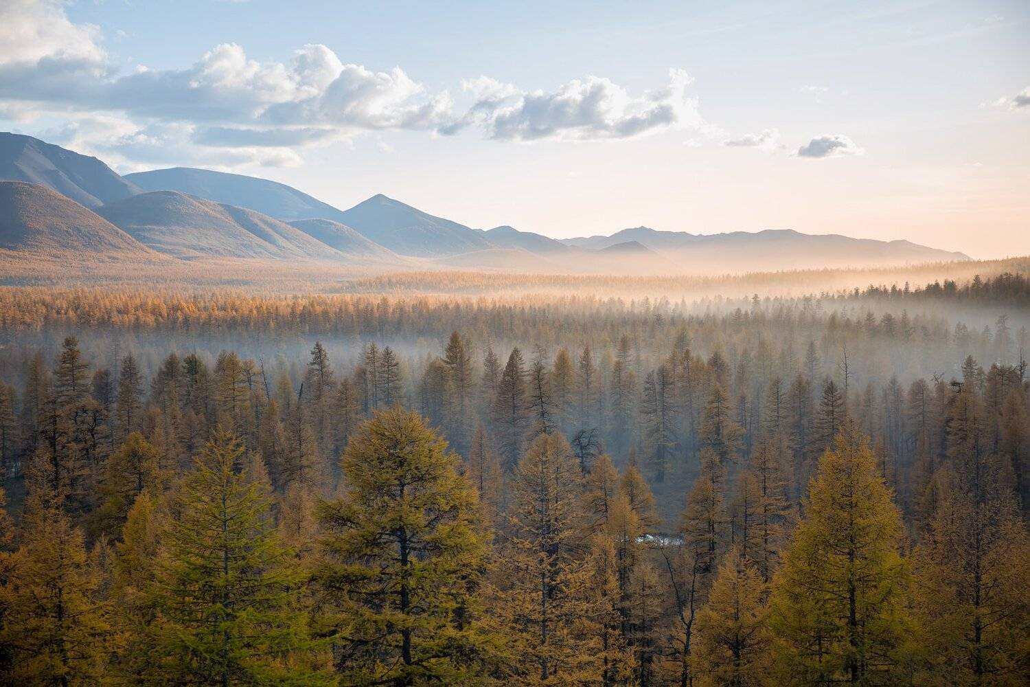 , Павел Глушков