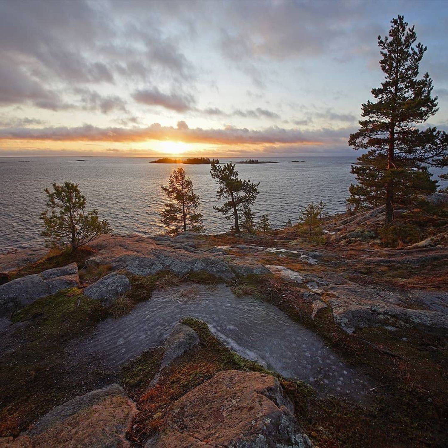 , Петр Косых