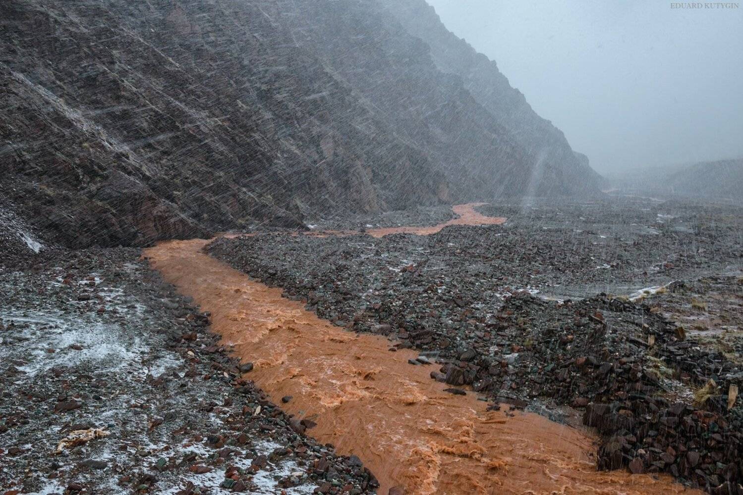 , Кутыгин Эдуард