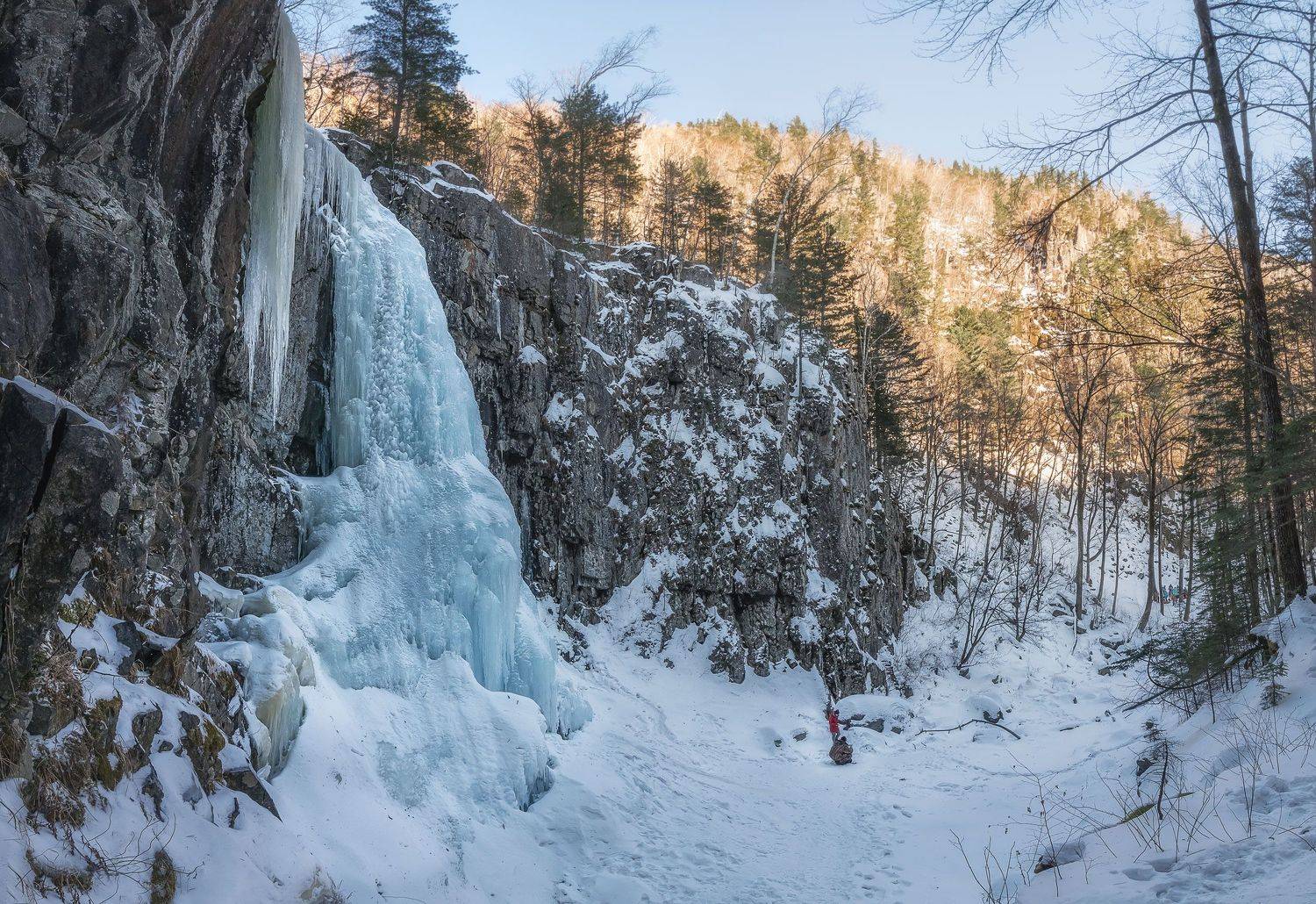 , Шинкарева Елена