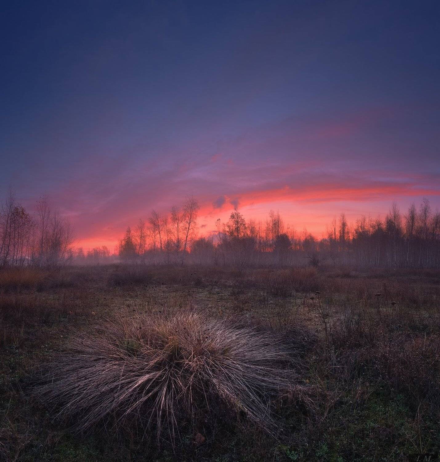 рассвет, утро, осень, ноябрь, туман, небо, луг, облака, свет, пейзаж, autumn, dawn, sunrise, morning, meadow, november, landscape, photography, red, clouds, light, sky, fog, Ivan Maljarenko 