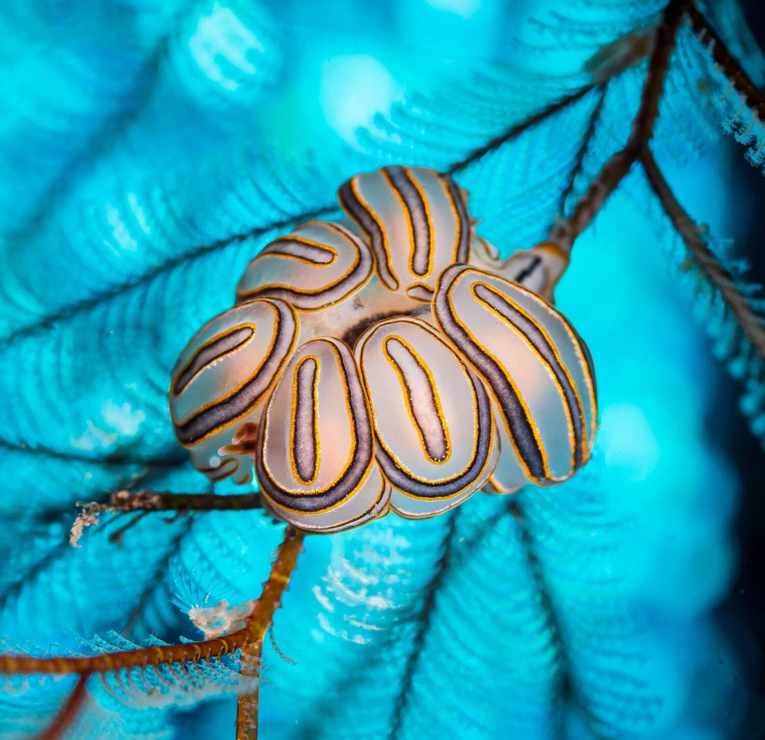 , Андрей Савин