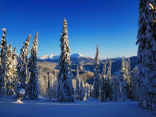 Прогулка в Рождество. Кузбасс
