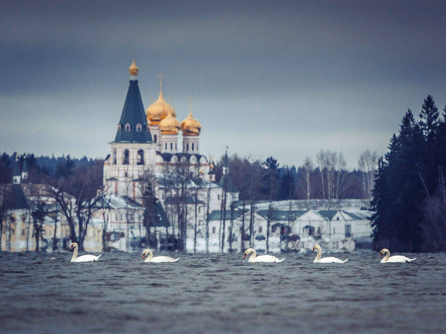 иверский монастырь, валдай, Тимофей Шутов