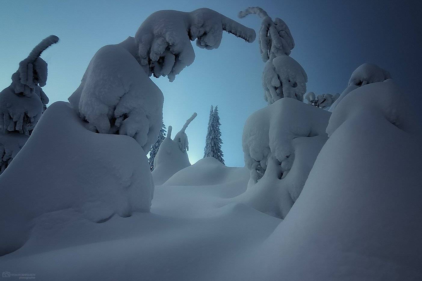 , Антон Кошетаров