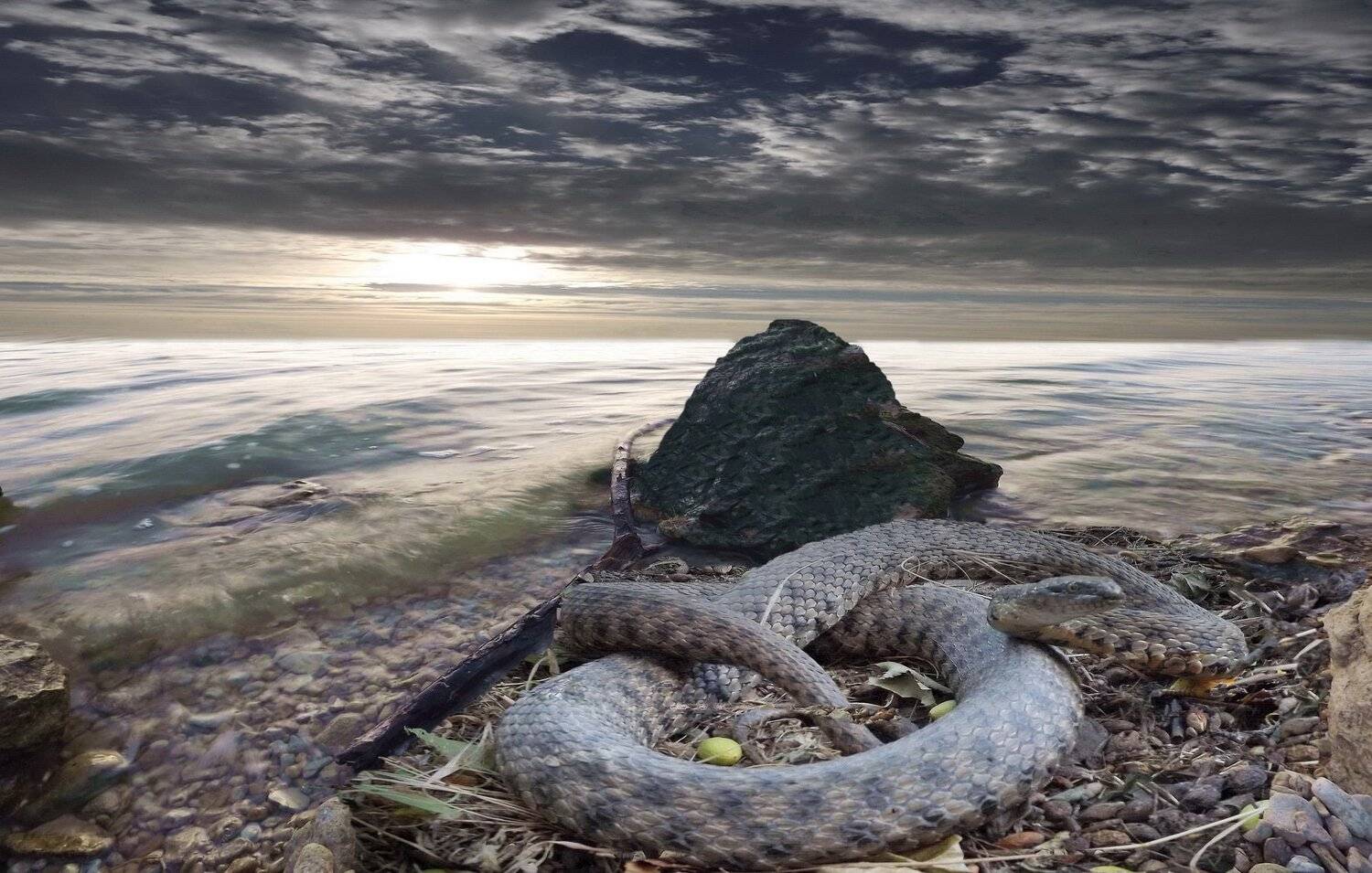 одесса, Сергей Кошелев