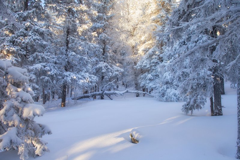 *** фото превью