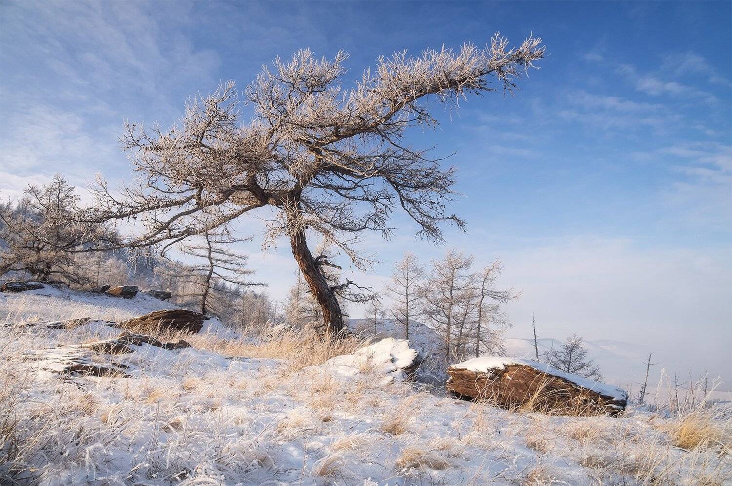 , Лещёнок Александр