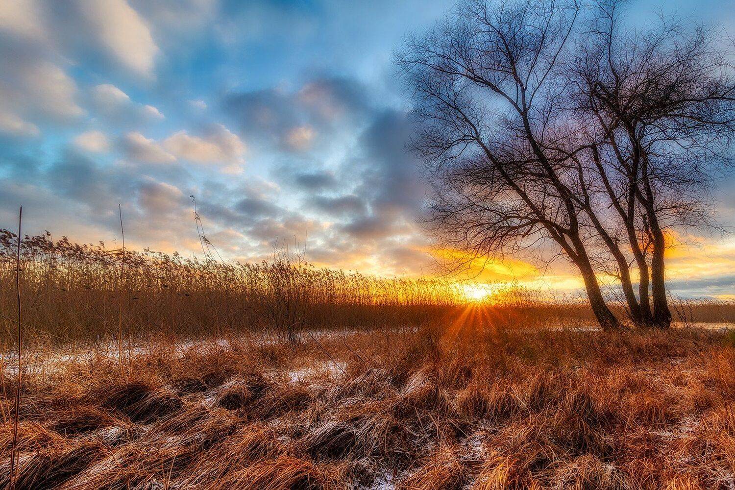 , Федотов Антон