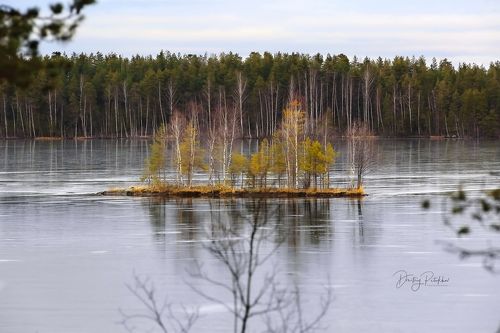 Каток залит
