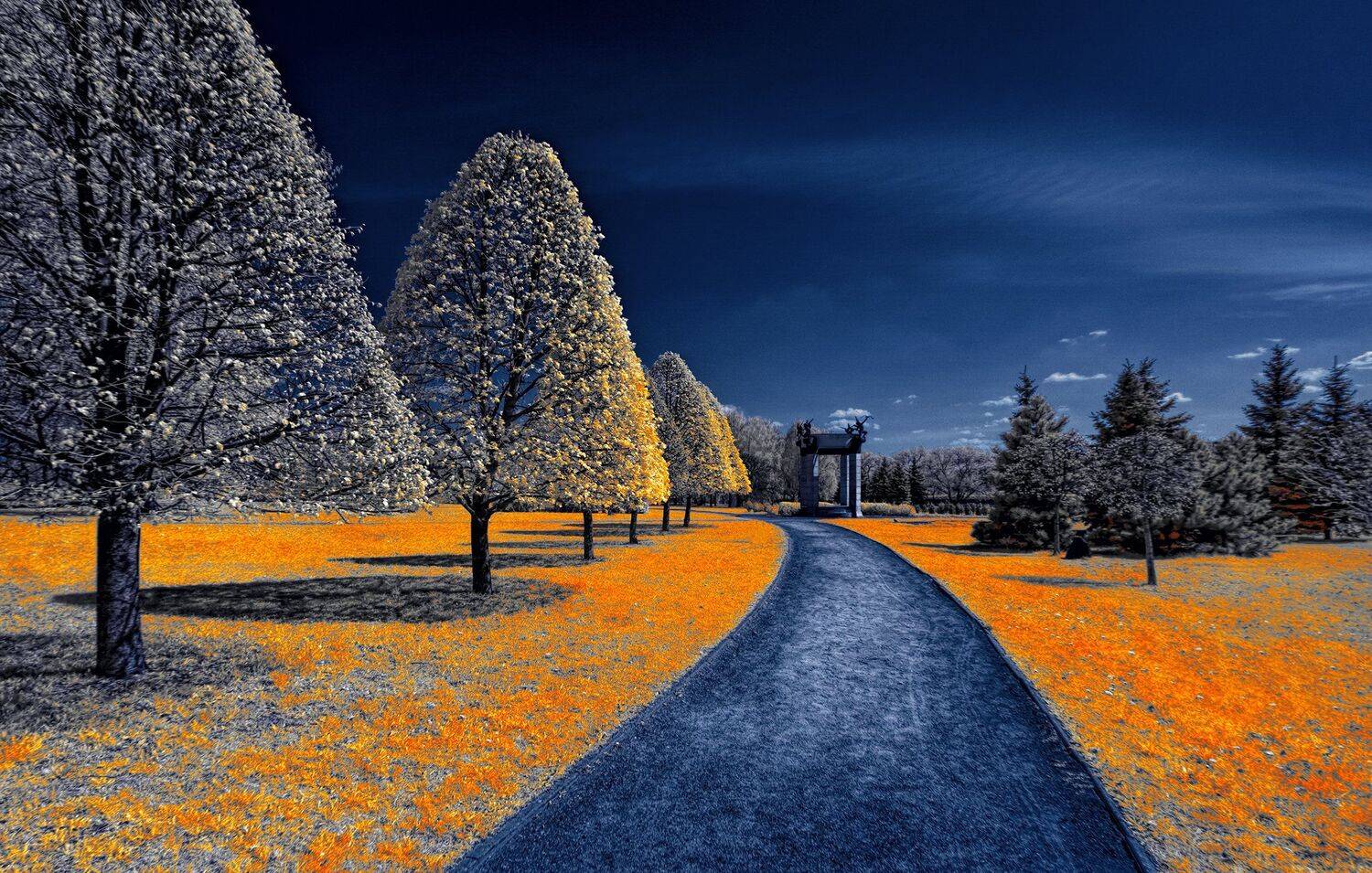 infrared,ик-фото,инфракрасное фото, инфракрасная фотография, пейзаж, весна, Sixten ( Сергей )