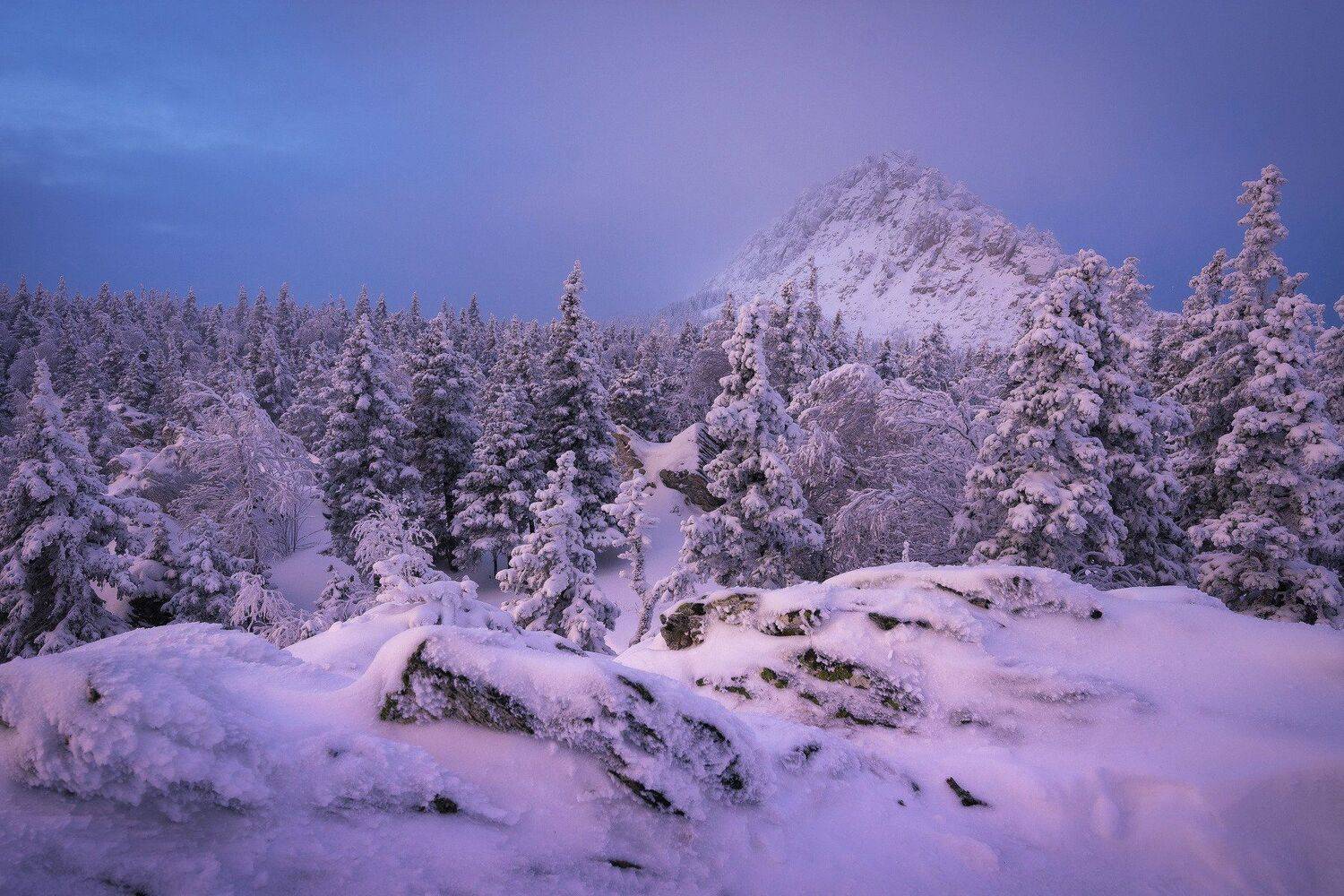 , Андрей Шарапов