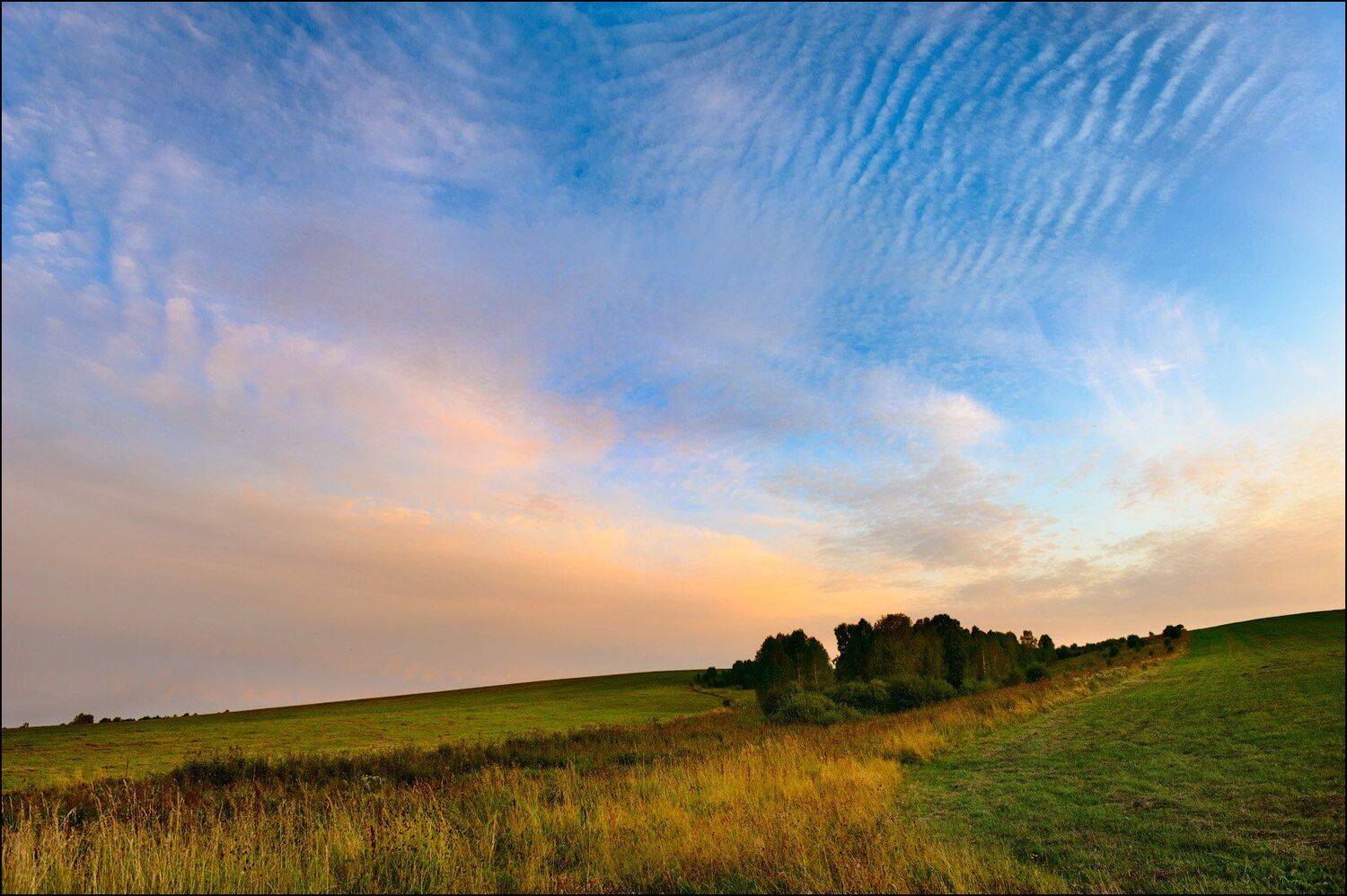 тихий вечер, Андрей Шумилин