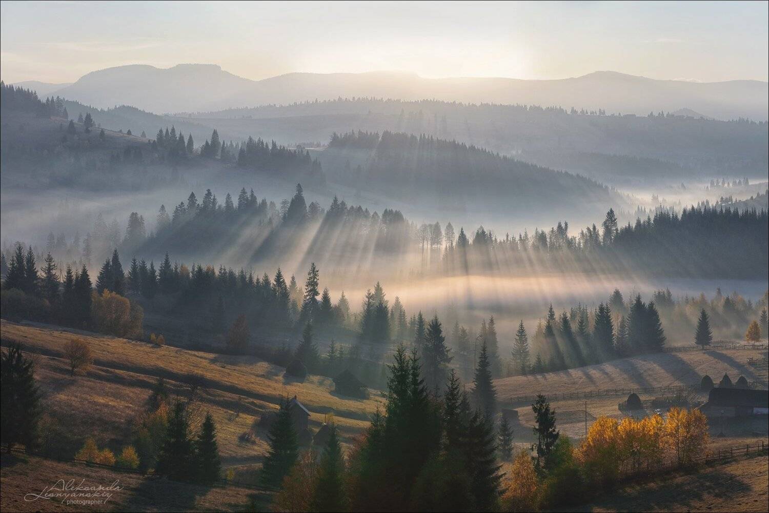 румыния, Александр Леснянский