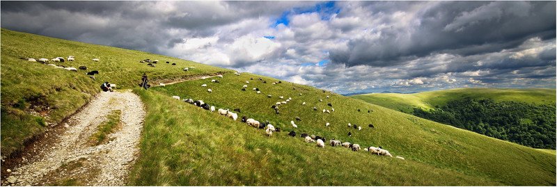 Карпаты, Украина, свидовец Завтрак, обед и ужин фото превью