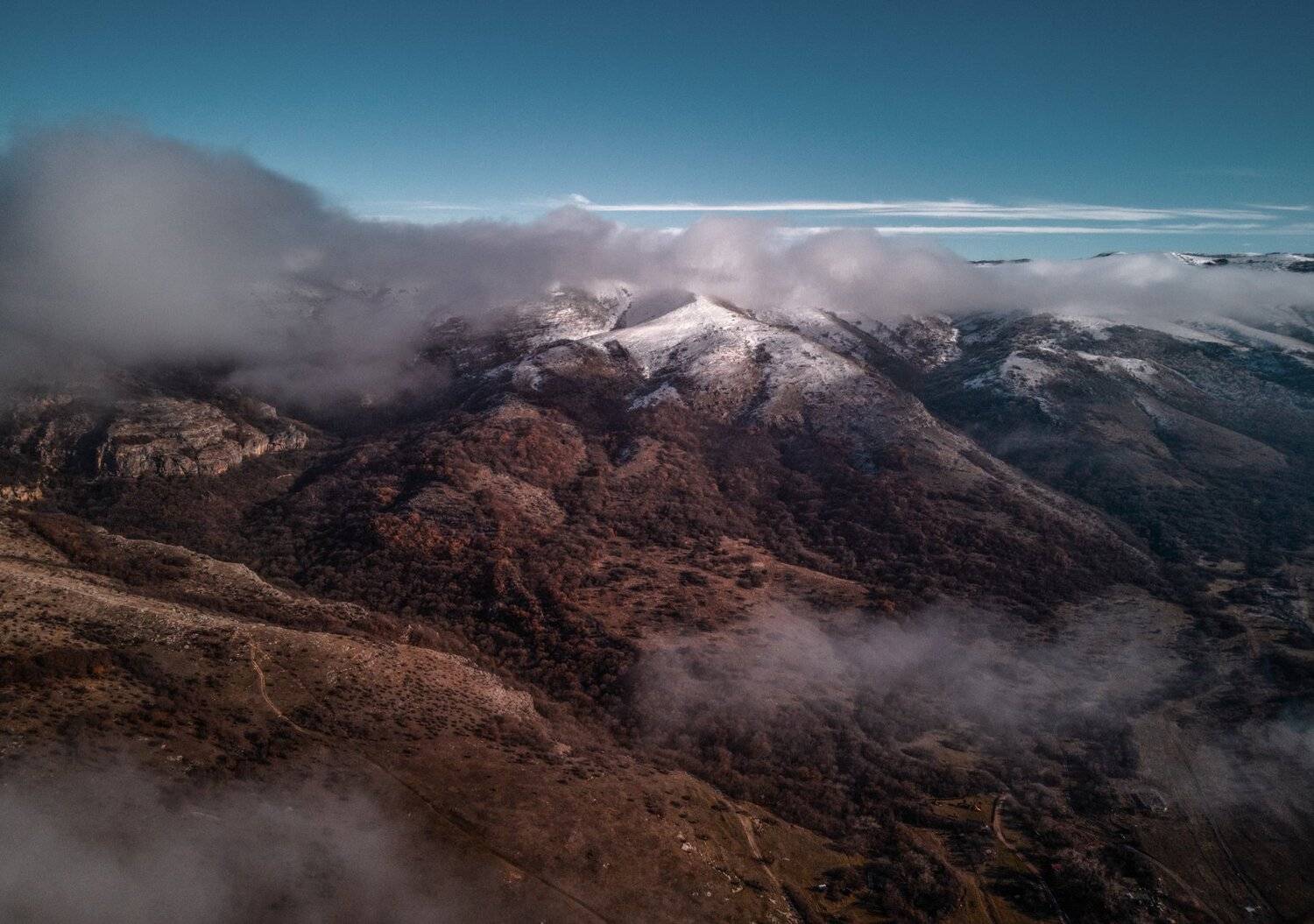, Александр Шинкаревский