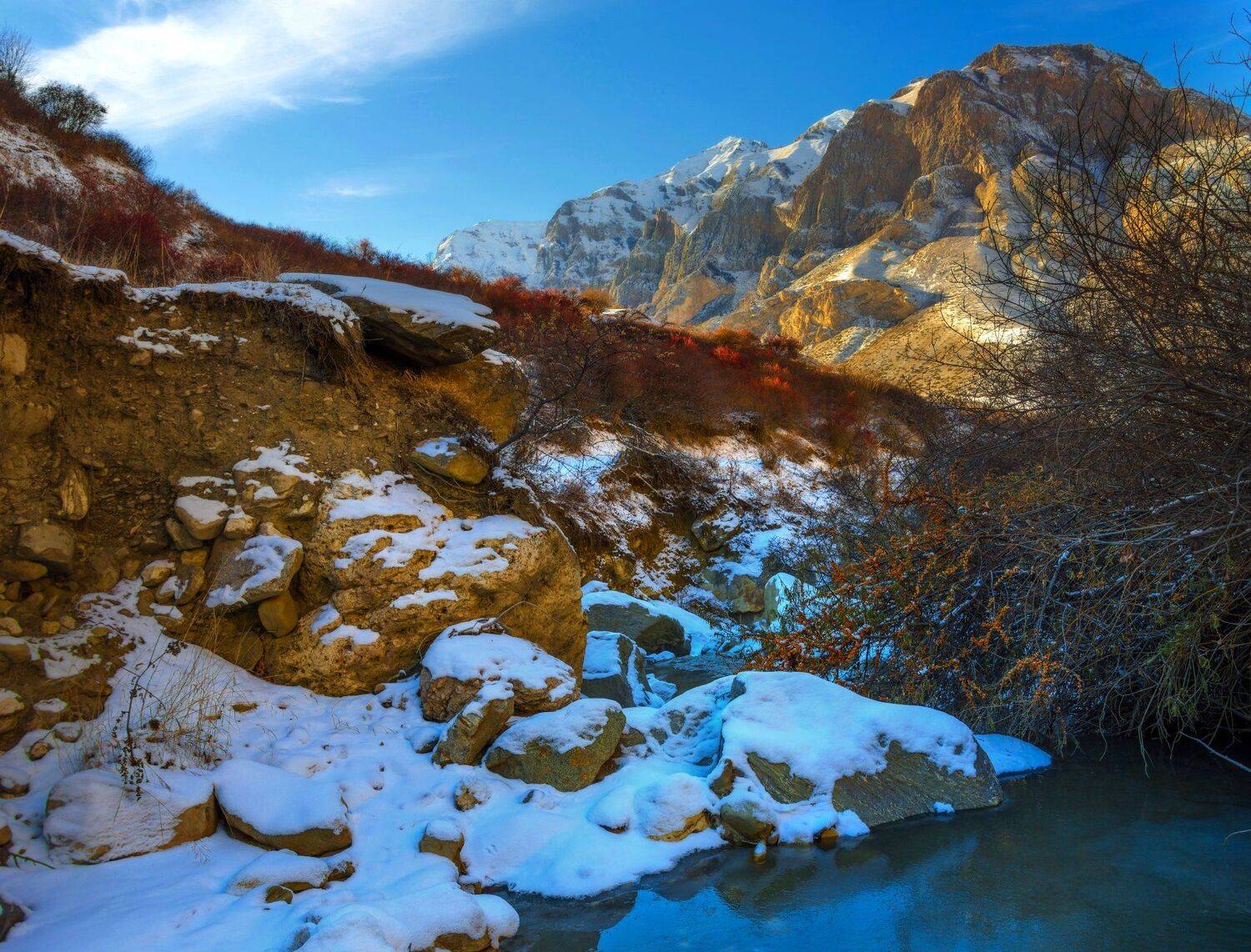 горы,зима,речка,облепиха,пейзаж, Елена Брежицкая