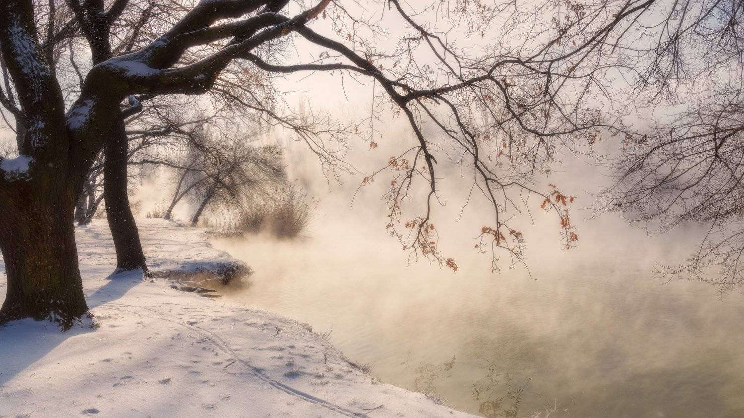 , Alexander Plekhanov