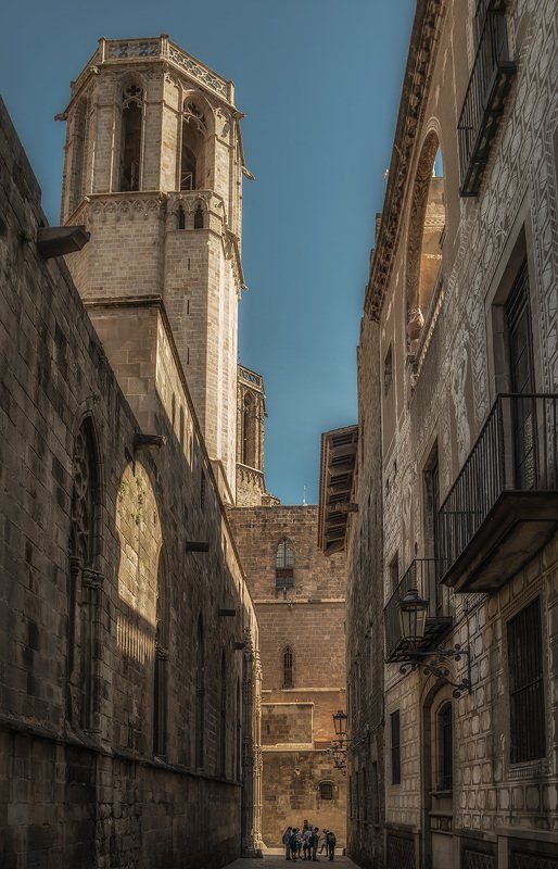 барселона La Catedral de la Santa Cruz y Santa Eulalia фото превью