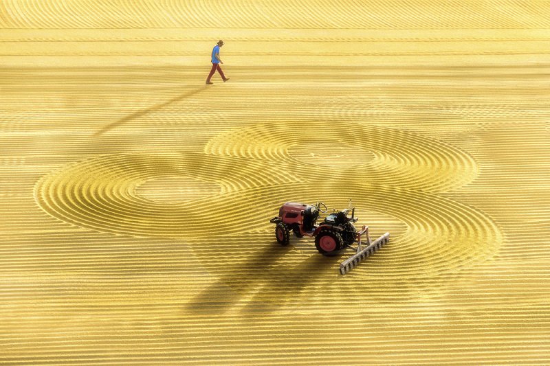 desen Bulgurcu фото превью