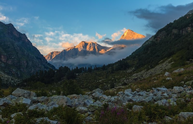 из дымки проступают великаны... фото превью