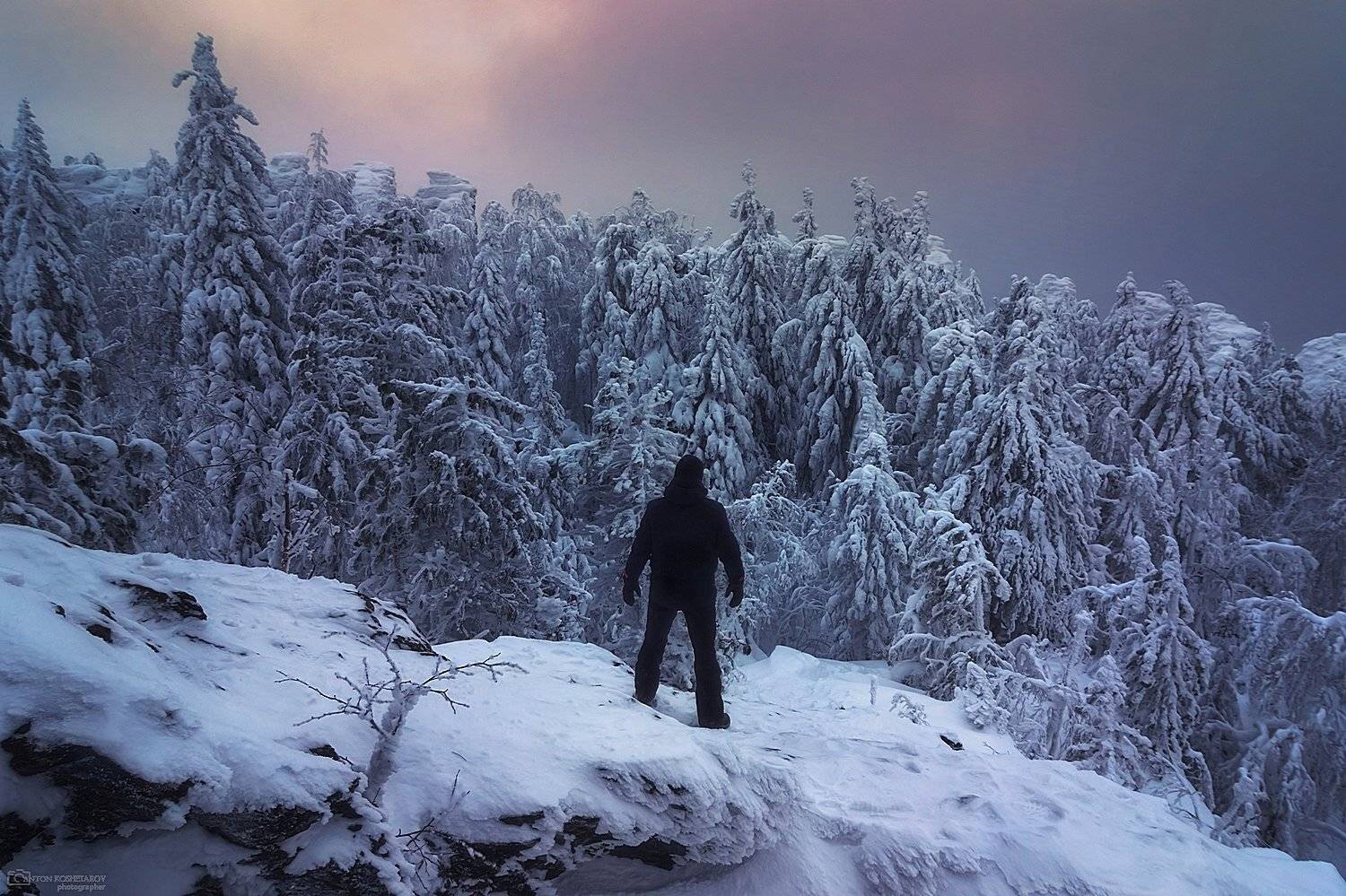 , Антон Кошетаров