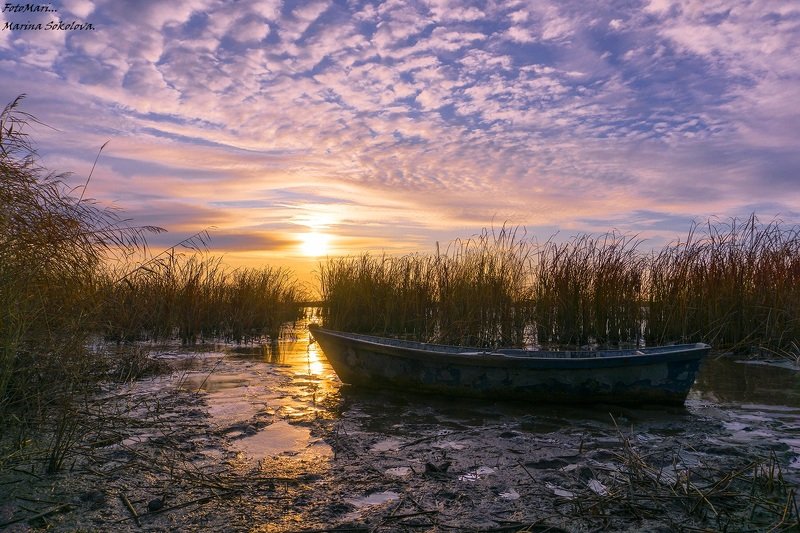 Морозное утро... фото превью