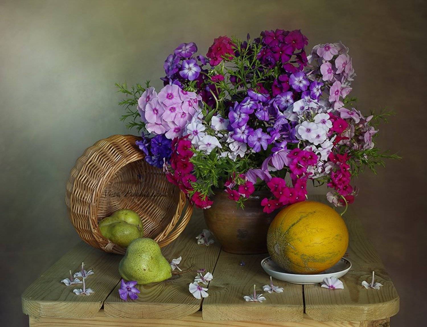 цветы ,флоксы , осень ,натюрморт ,вера павлухина ,, Вера  Павлухина