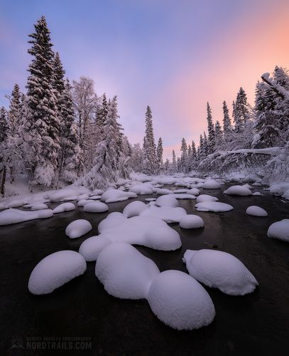 Снежная нежность