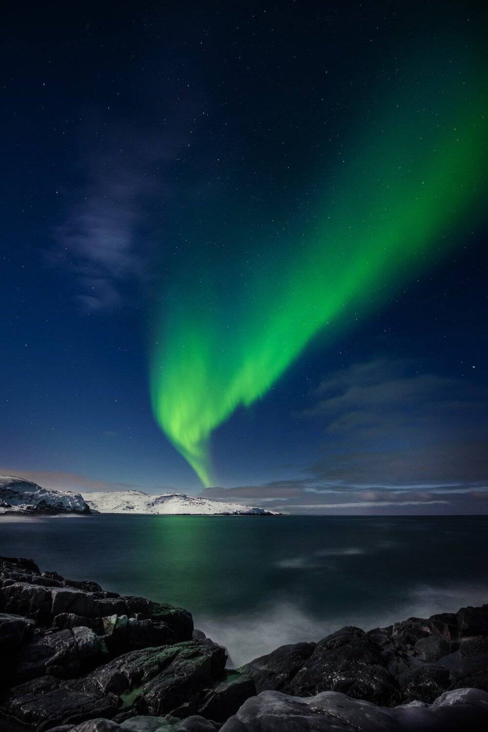 , Елена Ермолина