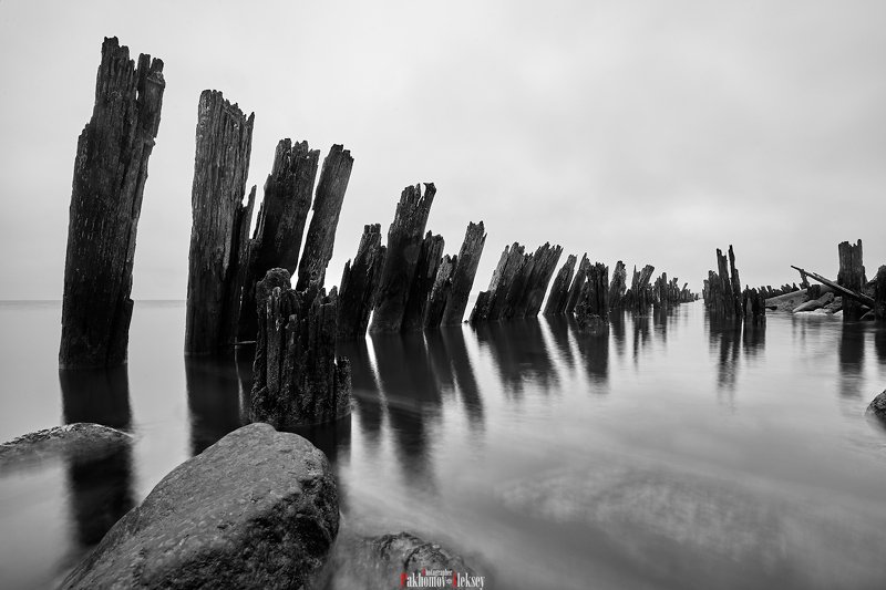 monochrome, black, white, bw, b&w, blackwhite, black&white, landscape, mystery, three, russia,  чб, монохром, пейзаж, деревья, природа, nature, outdoor The remains of a wooden pier фото превью