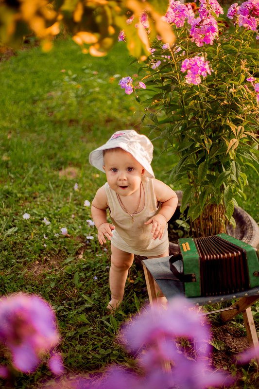 фото превью