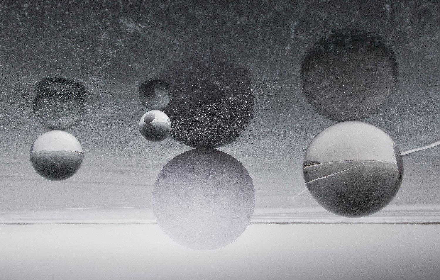 , Алексей Трофимов