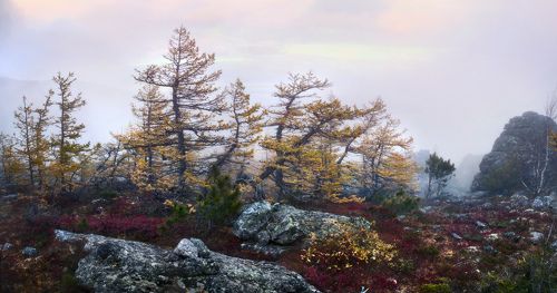На Серебрянском камне