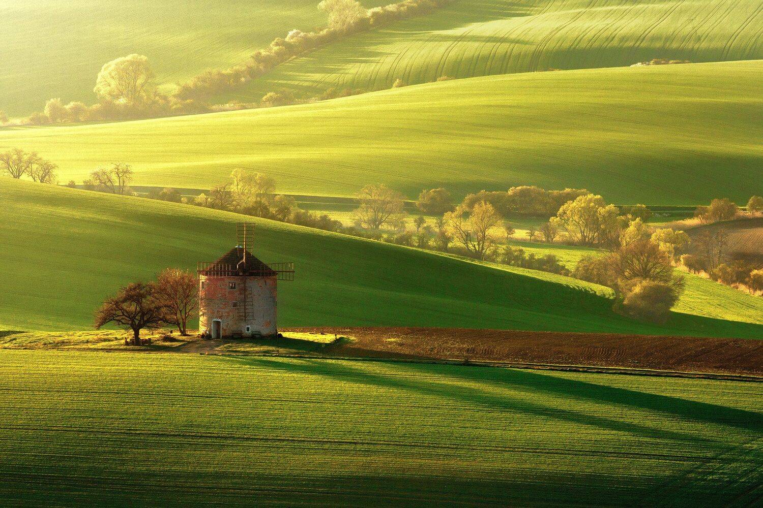 #moravian tuscany #czech #landscape, Radoslav Cernicky