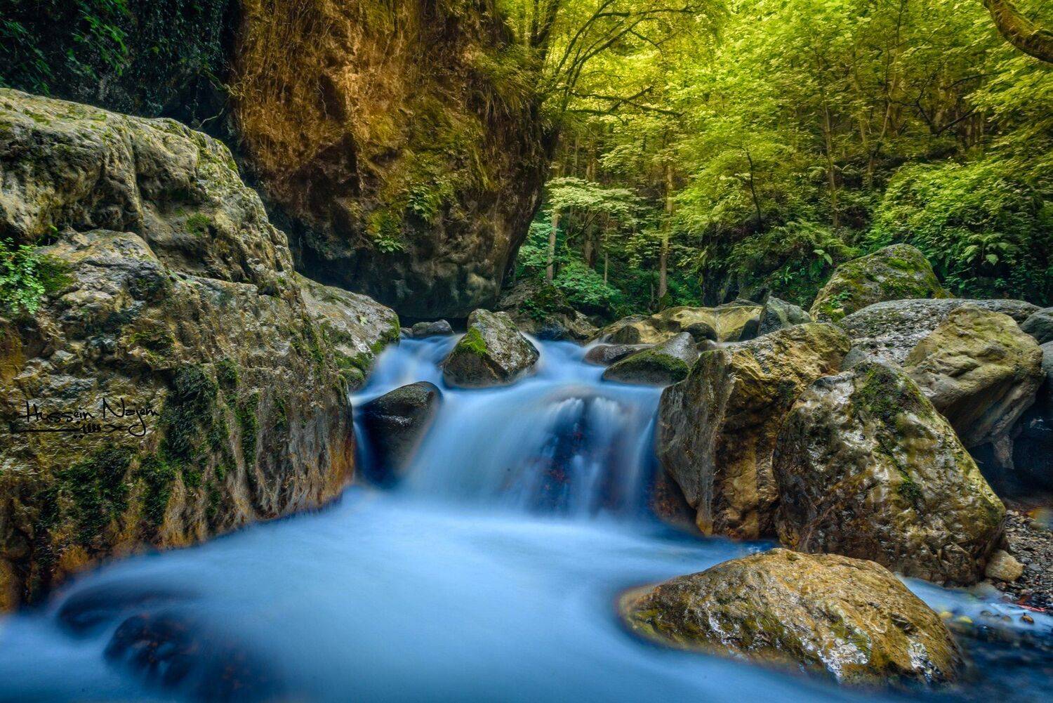 color,Water,trees,Rocks, hussein najem