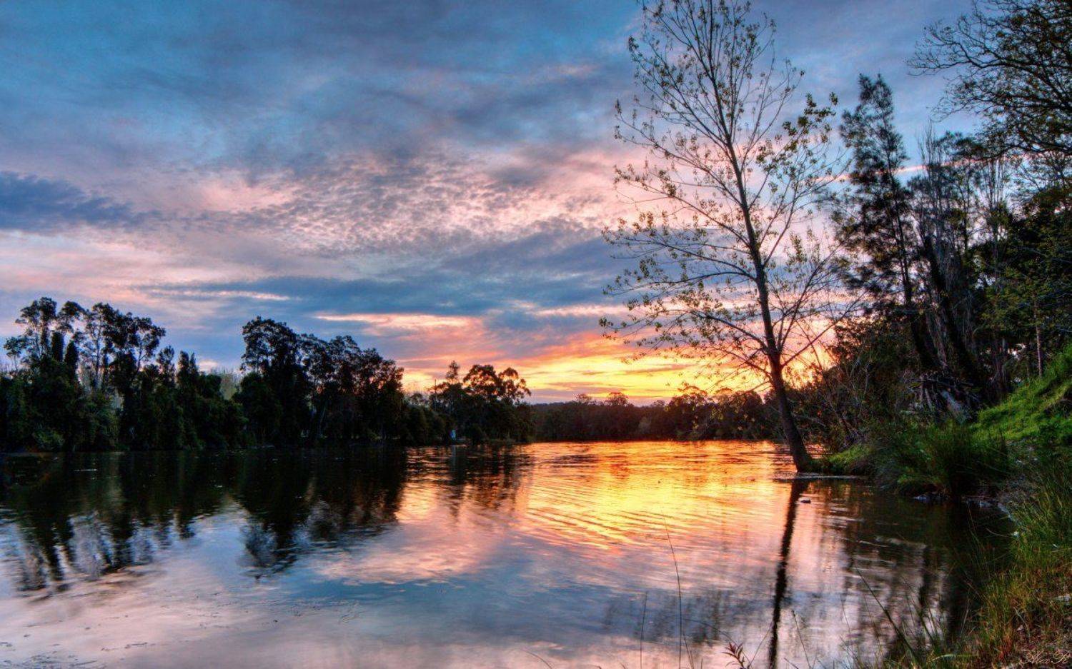 , Razgulyaev Aleksandr