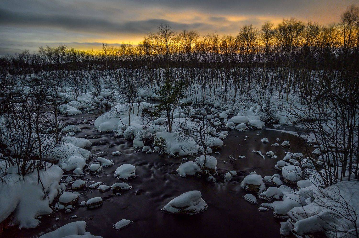 north night cold forest nature landscape kola peninsula forest winter, Егор Бугримов